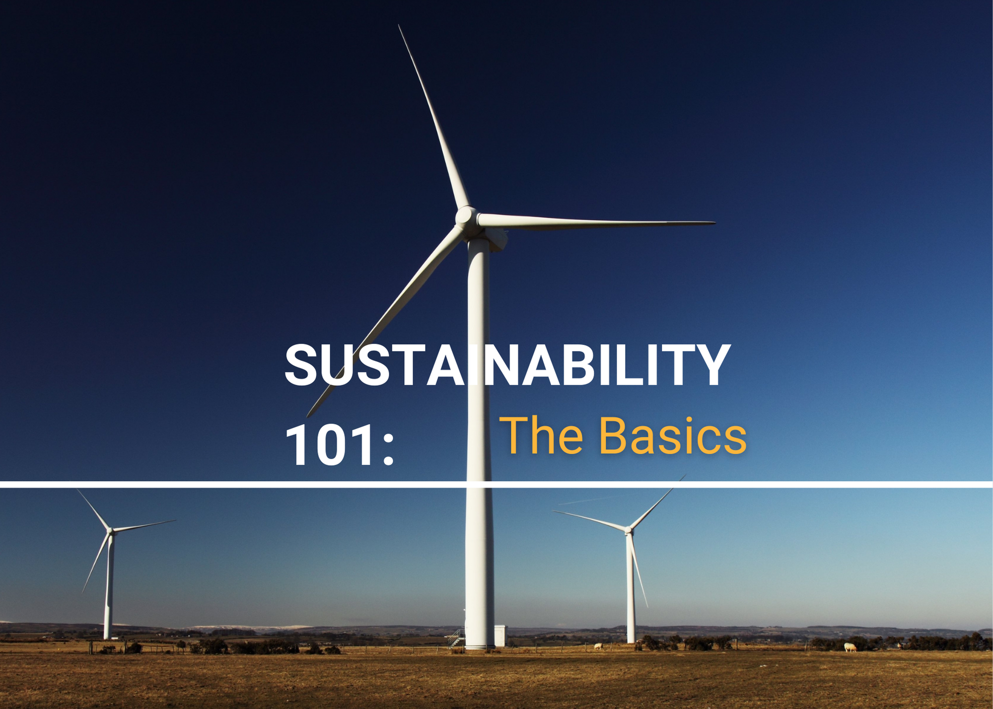 SUSTAINABILITY 101: The Basics